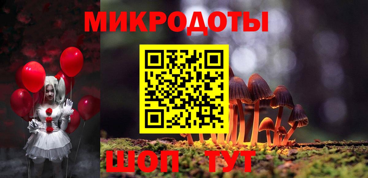 Псилоцибиновые грибы Psilocybine cubensis Крымск
